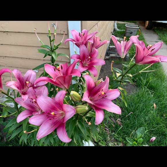 Meet the Posher Other - Meet your Posher, Diane